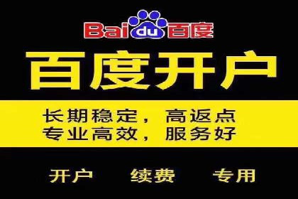 百度竞价广告的成功之路：企业运营案例集